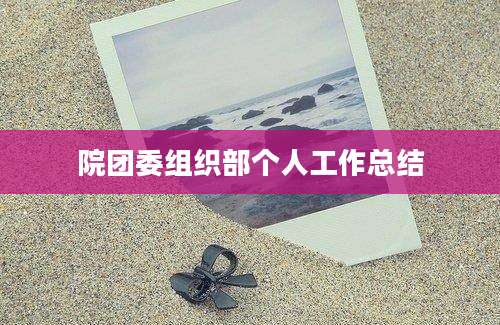 院团委组织部个人工作总结