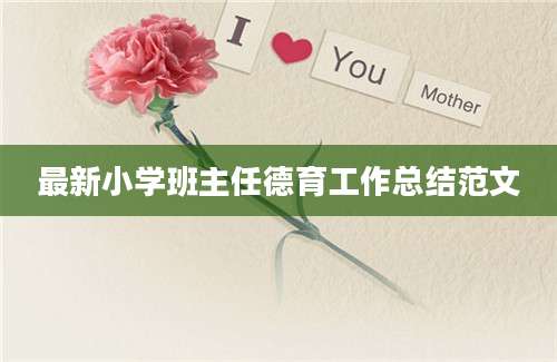 最新小学班主任德育工作总结范文