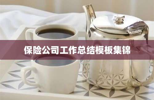 保险公司工作总结模板集锦