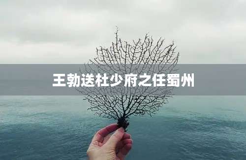 王勃送杜少府之任蜀州