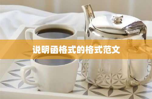 说明函格式的格式范文