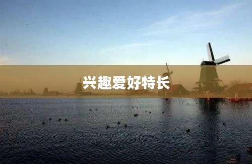兴趣爱好特长