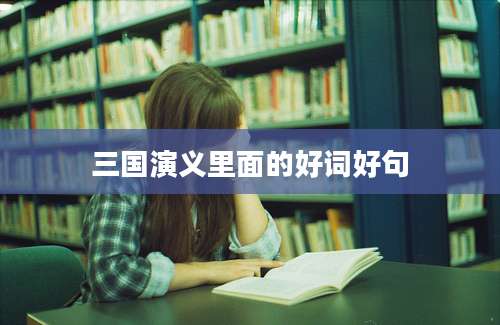 三国演义里面的好词好句