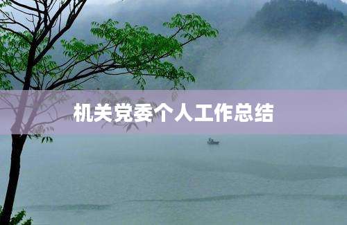 机关党委个人工作总结