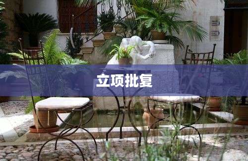 立项批复