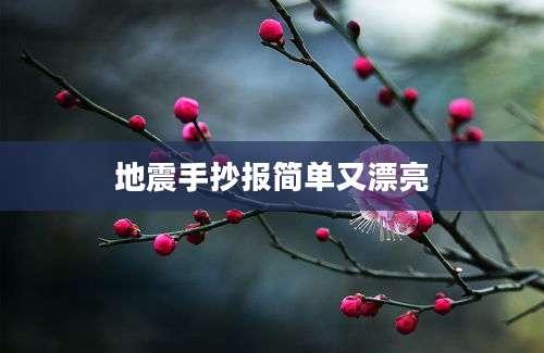 地震手抄报简单又漂亮
