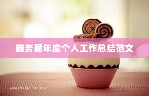 商务局年度个人工作总结范文