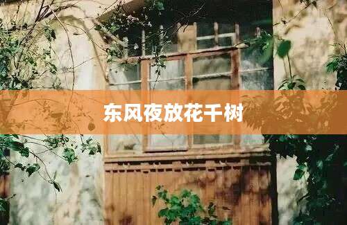 东风夜放花千树
