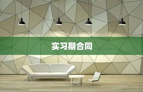 实习期合同