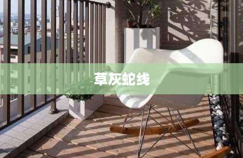 草灰蛇线