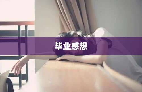 毕业感想