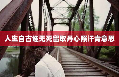 人生自古谁无死留取丹心照汗青意思