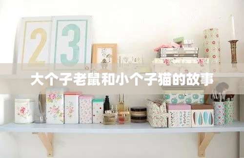 大个子老鼠和小个子猫的故事