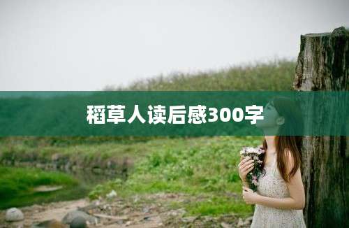 稻草人读后感300字