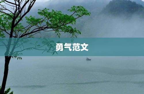 勇气范文
