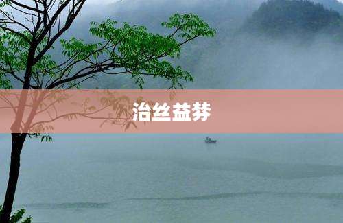 治丝益棼