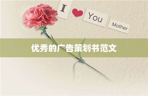 优秀的广告策划书范文