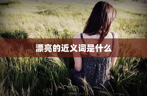 漂亮的近义词是什么