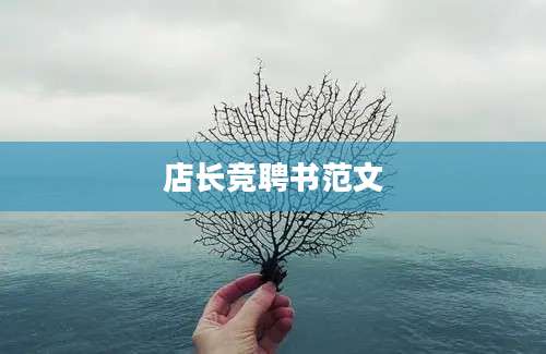店长竞聘书范文