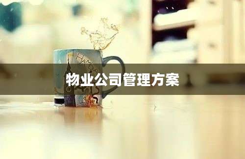 物业公司管理方案