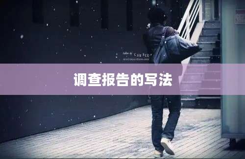 调查报告的写法