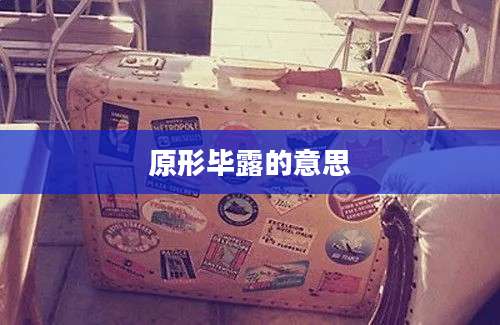 原形毕露的意思