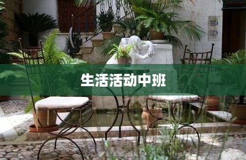 生活活动中班