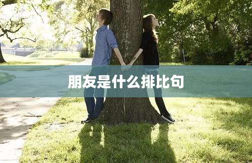 朋友是什么排比句