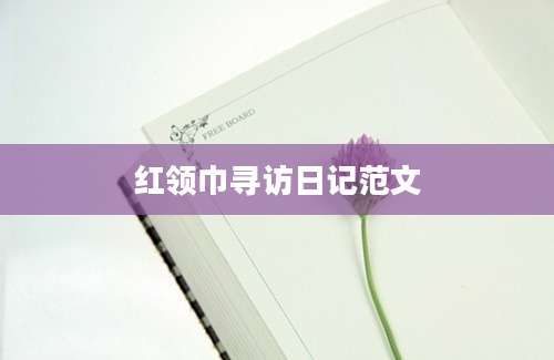 红领巾寻访日记范文