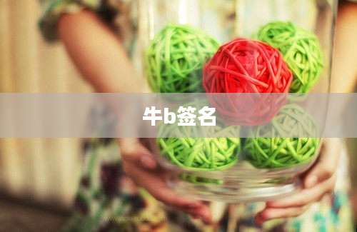 牛b签名