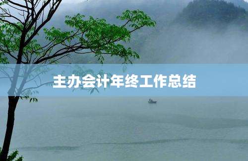 主办会计年终工作总结