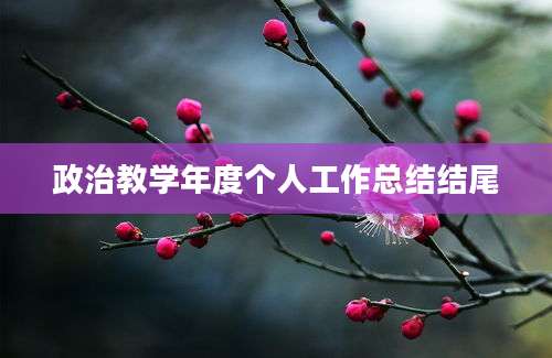 政治教学年度个人工作总结结尾