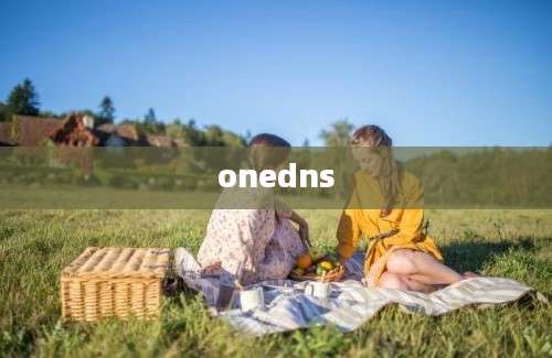 onedns