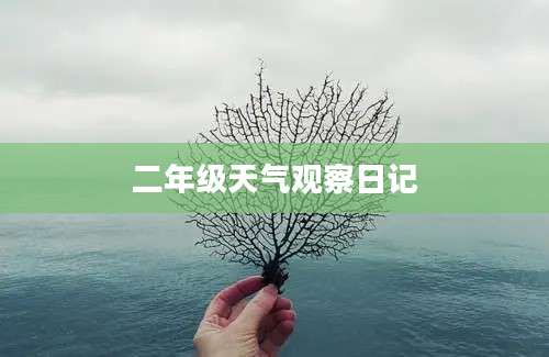 二年级天气观察日记