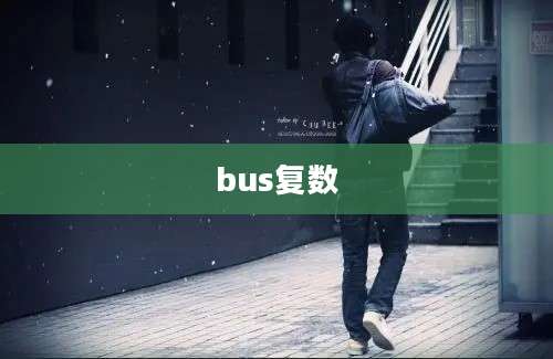 bus复数