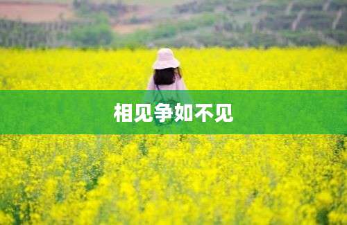 相见争如不见
