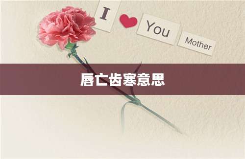 唇亡齿寒意思