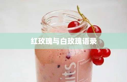红玫瑰与白玫瑰语录