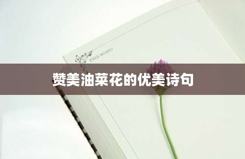 赞美油菜花的优美诗句