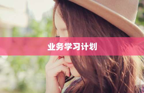 业务学习计划