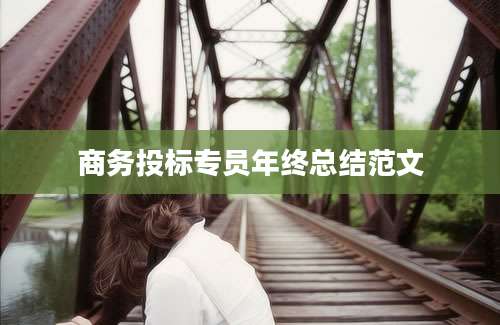 商务投标专员年终总结范文