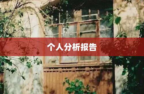 个人分析报告