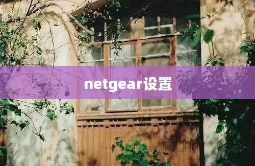 netgear设置