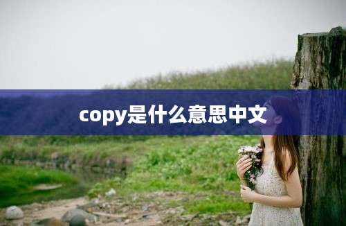 copy是什么意思中文