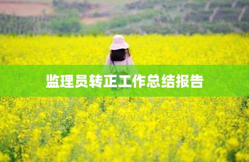 监理员转正工作总结报告