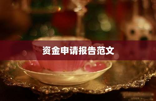 资金申请报告范文
