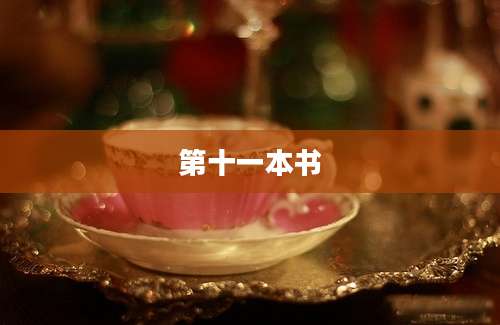 第十一本书