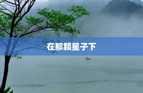 在那颗星子下