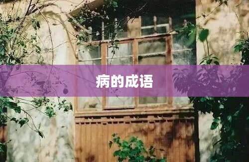 病的成语