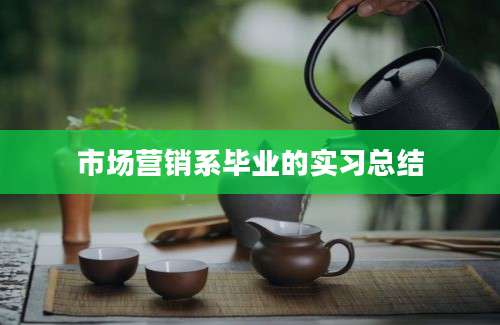 市场营销系毕业的实习总结